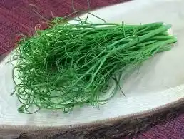 Microgreen Pea Tendrils